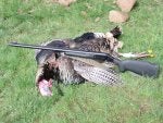TurkeyNumber1-2010.jpg